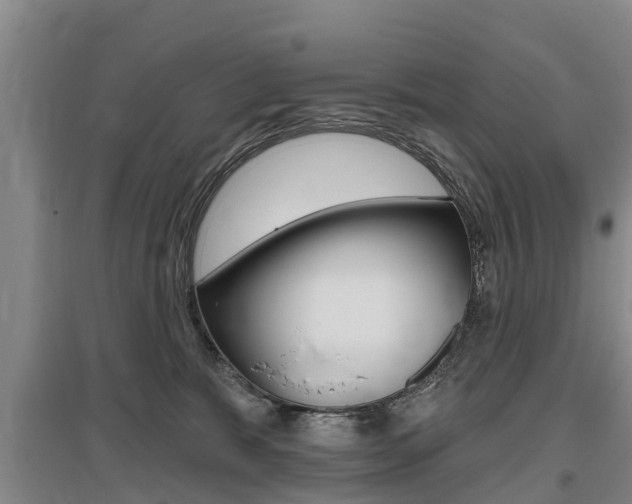 X0000095930327200801110925