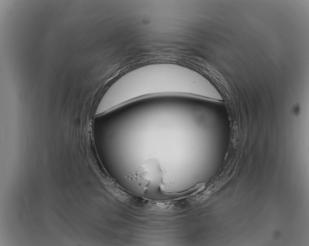 X0000095930329200801110925