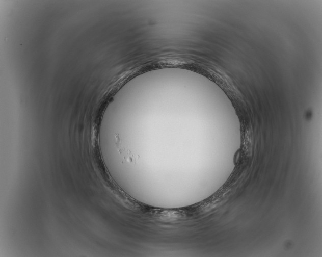 X0000095930330200801110925