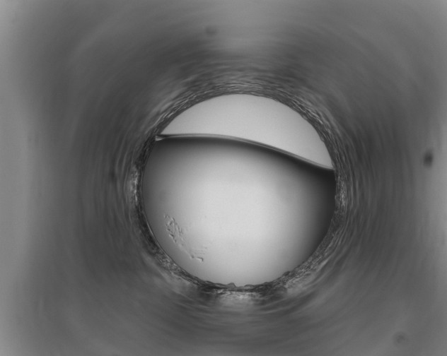 X0000095930332200801110925