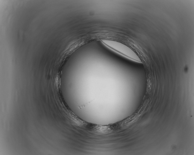 X0000095930333200801110925
