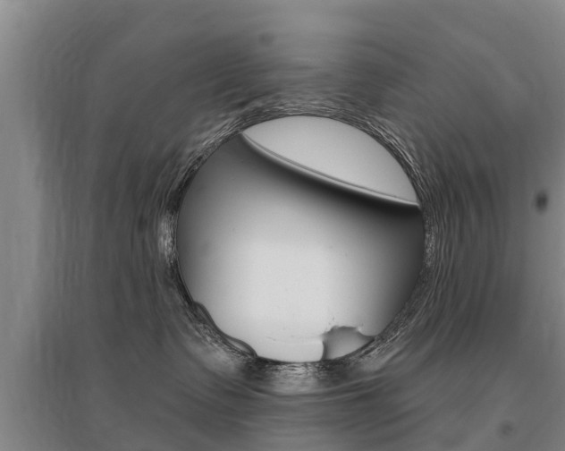 X0000095930335200801110925