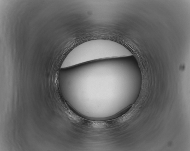 X0000095930336200801110925