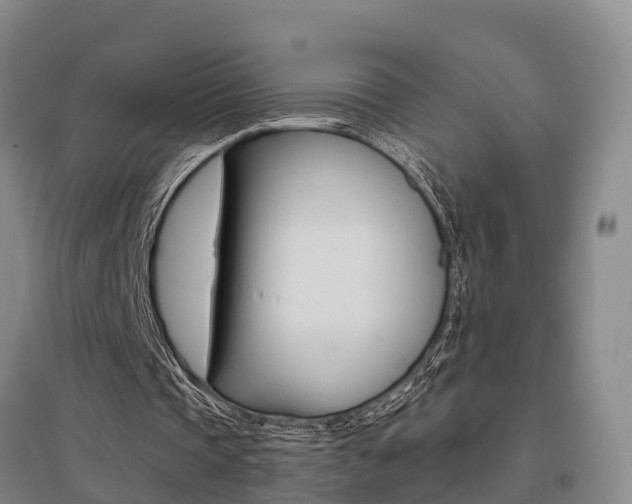 X0000095930337200801110924