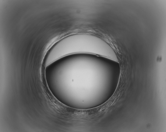 X0000095930340200801110924