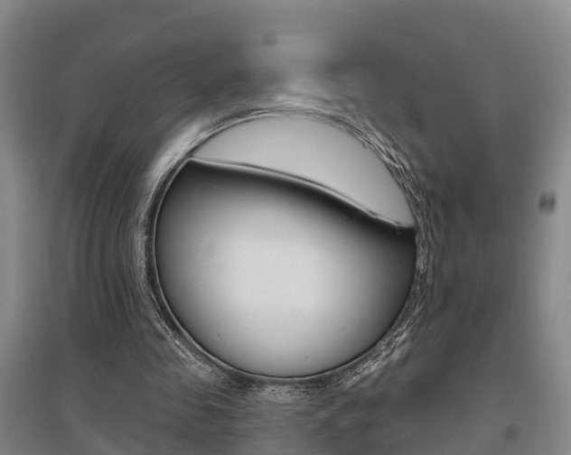X0000095930341200801110924