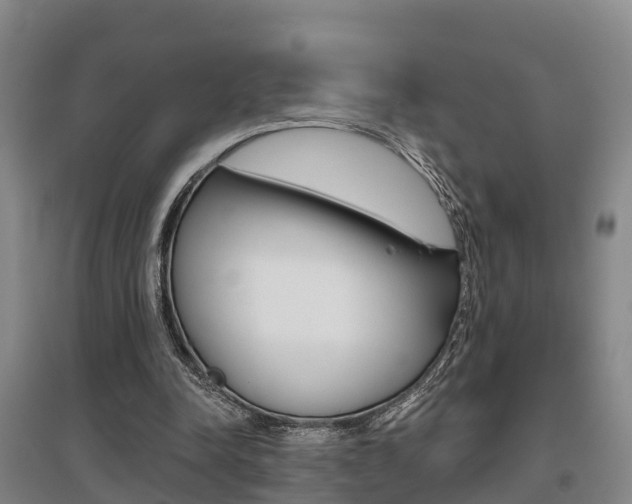 X0000095930342200801110924