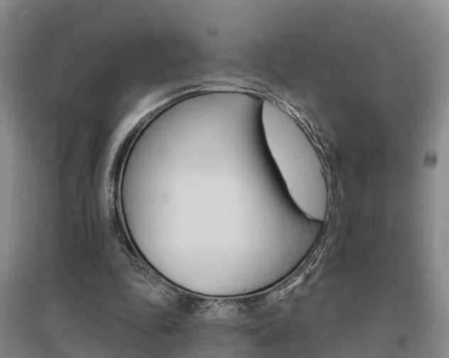 X0000095930343200801110924