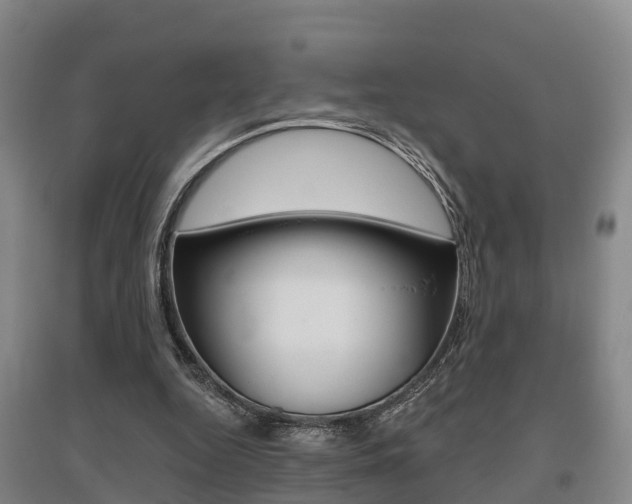 X0000095930344200801110924