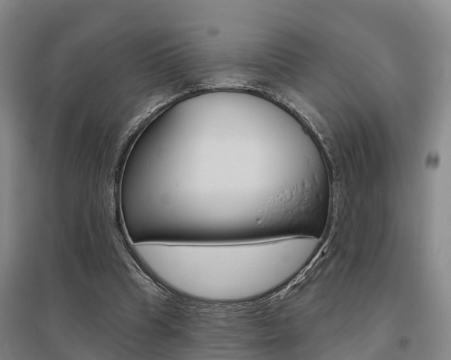 X0000095930345200801110924