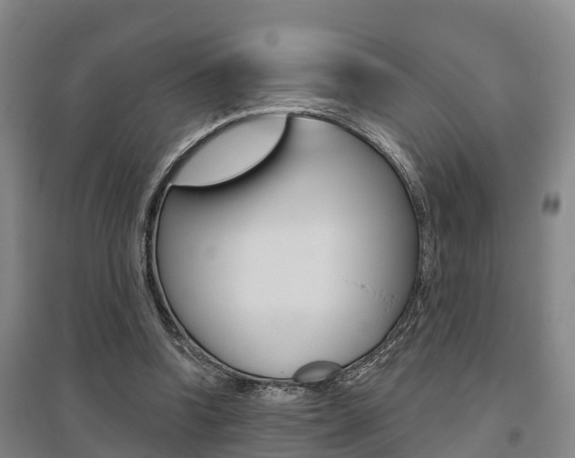 X0000095930346200801110924