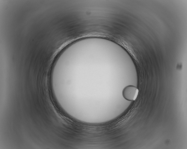 X0000095930348200801110924