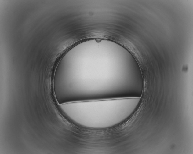 X0000095930349200801110924