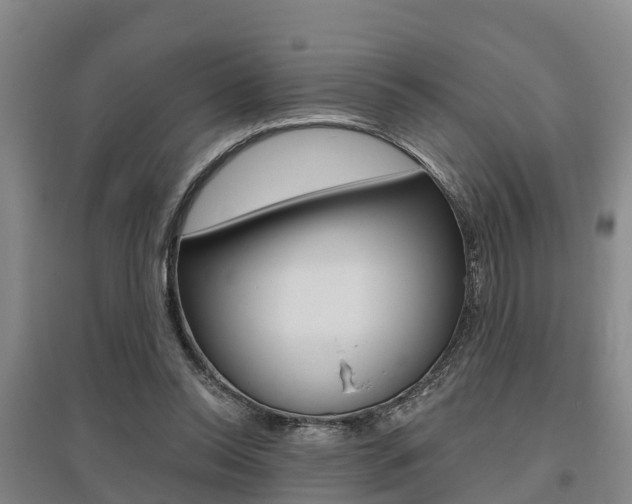 X0000095930350200801110924