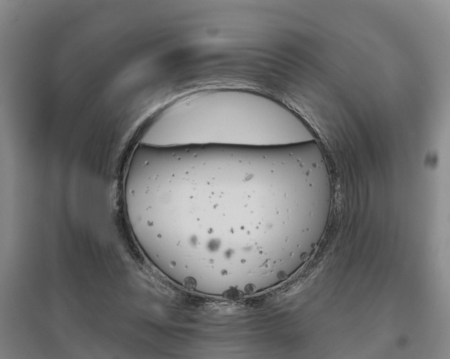 X0000095930351200801110924