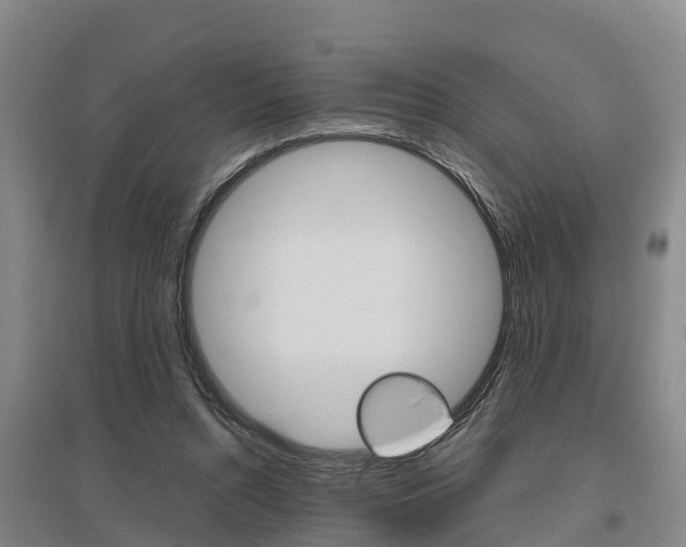X0000095930352200801110924