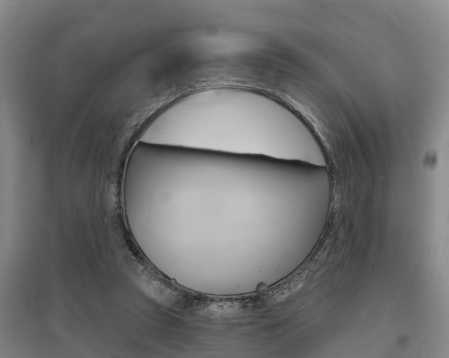 X0000095930353200801110924