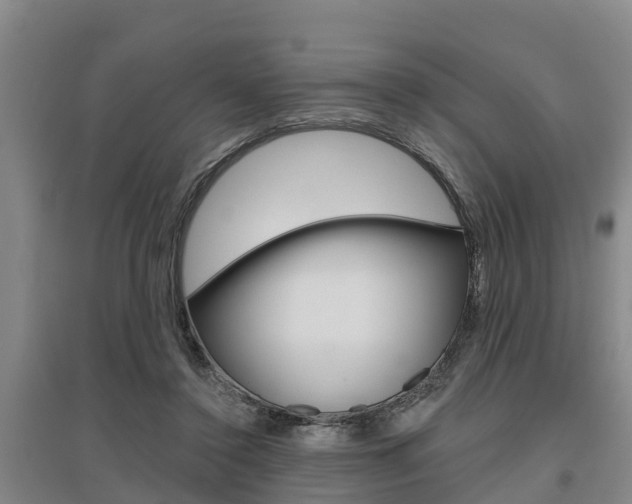 X0000095930356200801110924