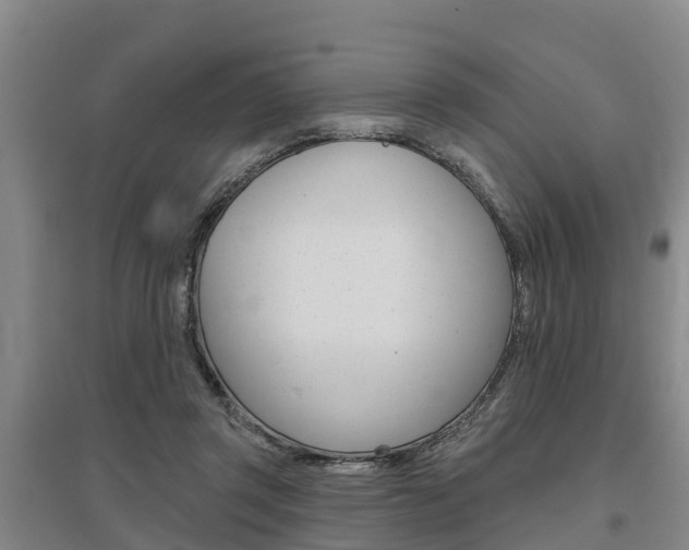 X0000095930357200801110924