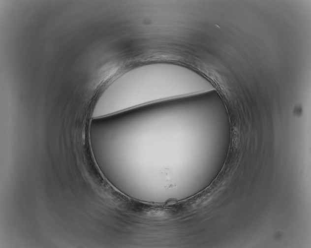 X0000095930358200801110924