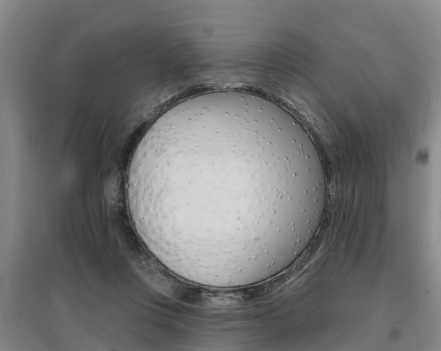 X0000095930359200801110924