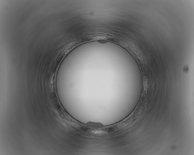 X0000095930360200801110924