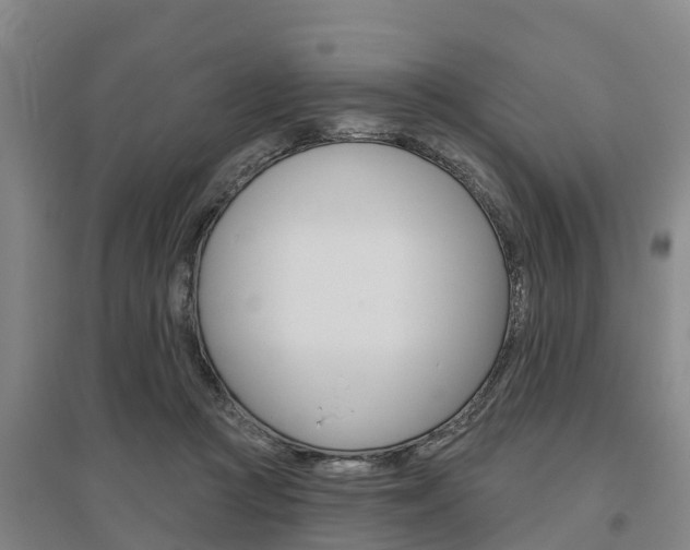X0000095930361200801110924