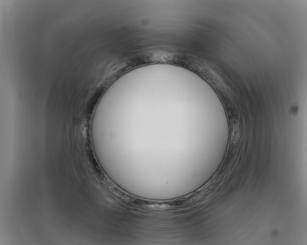 X0000095930363200801110924