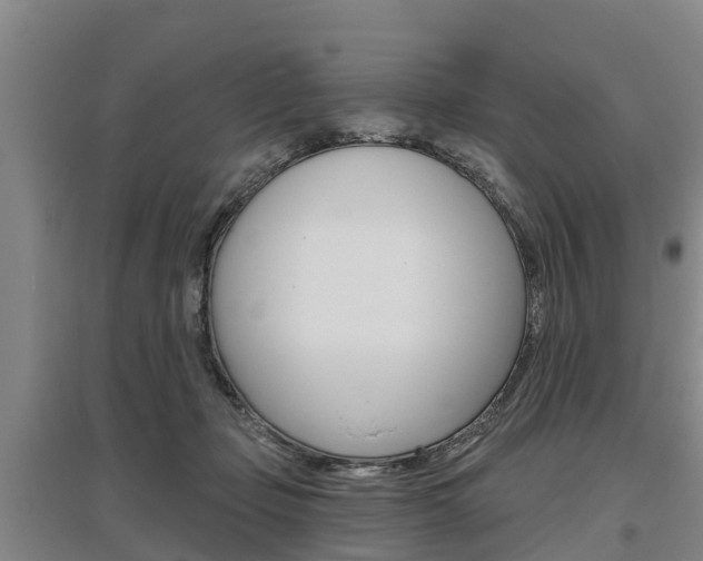 X0000095930365200801110924