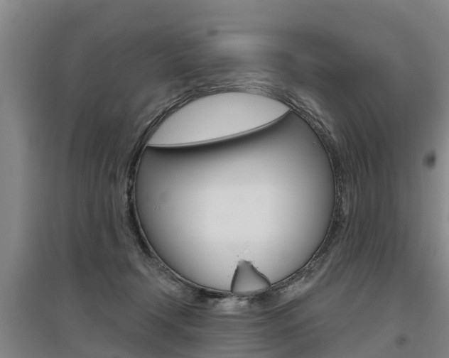 X0000095930366200801110924