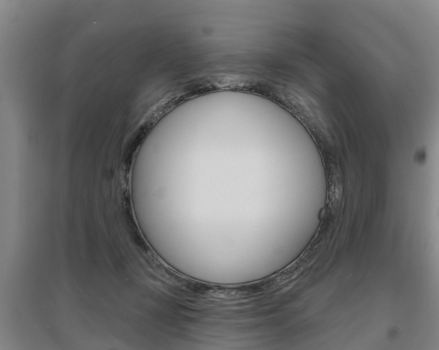 X0000095930367200801110924