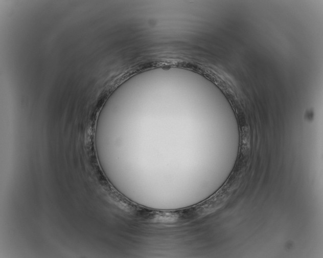X0000095930369200801110924