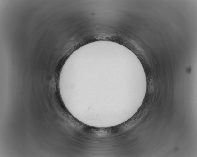 X0000095930370200801110925