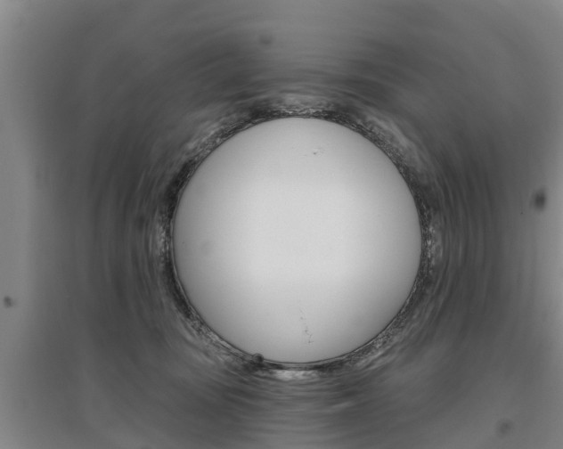 X0000095930371200801110925