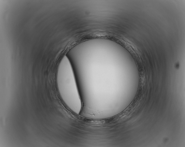 X0000095930373200801110925