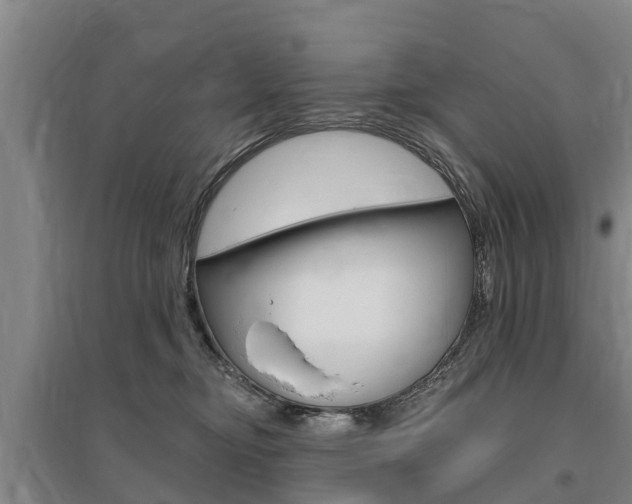 X0000095930374200801110925