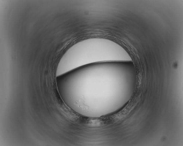 X0000095930376200801110925