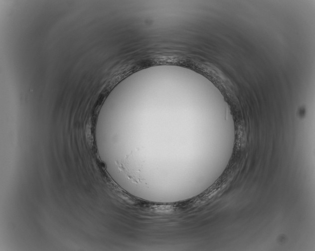 X0000095930377200801110925