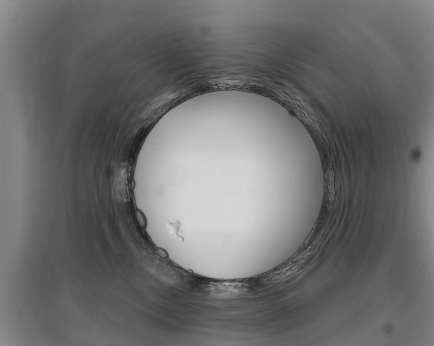 X0000095930378200801110925