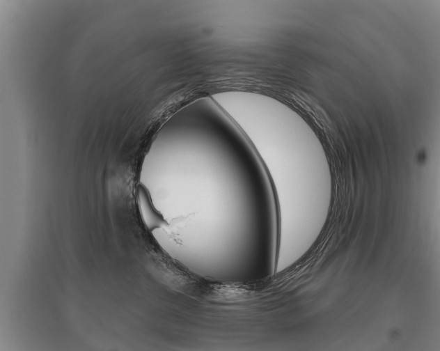 X0000095930380200801110925