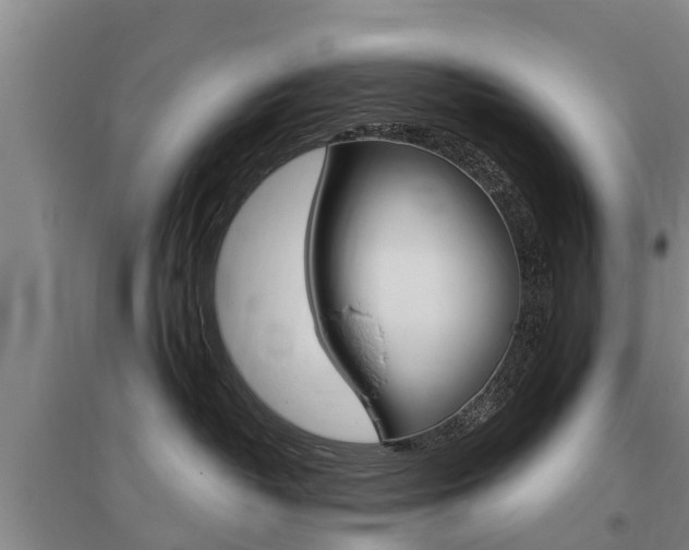 X0000095930382200801110925
