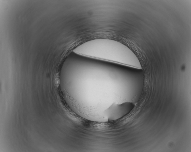 X0000095930383200801110925