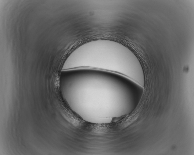 X0000095930384200801110925