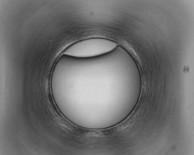 X0000095930386200801110924