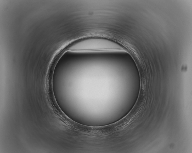 X0000095930388200801110924
