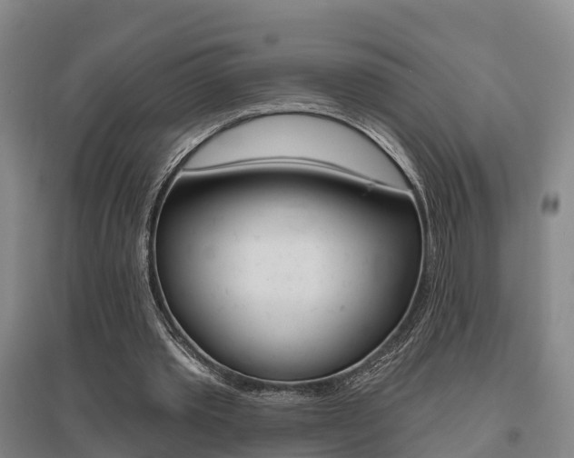 X0000095930389200801110924