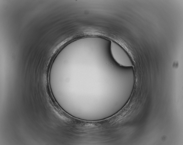 X0000095930390200801110924
