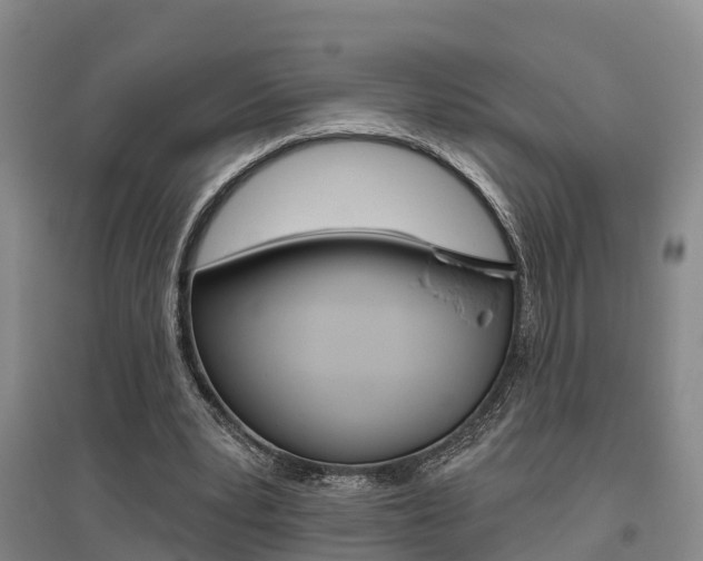 X0000095930391200801110924
