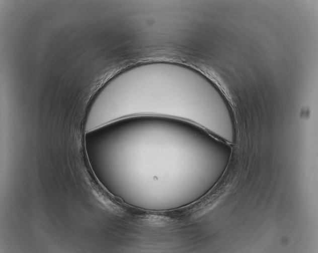 X0000095930393200801110924