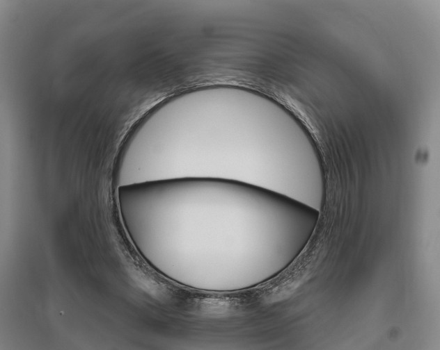 X0000095930394200801110924